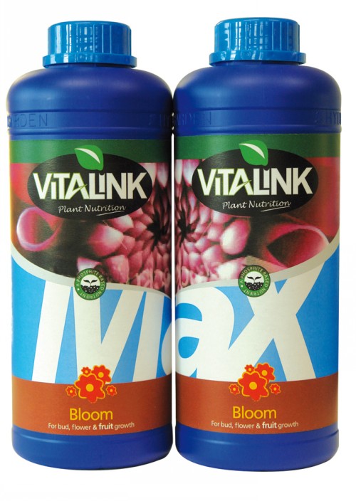 Max Bloom A&B