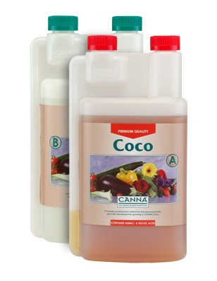 Coco A&B