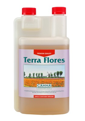 Terra Flores