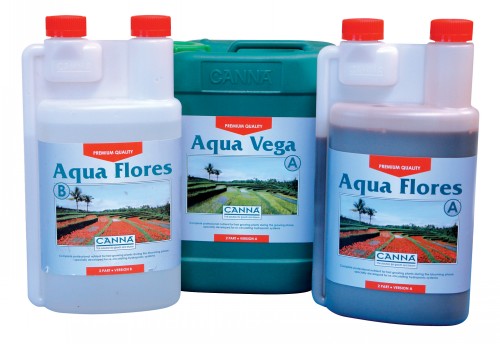 Aqua Flores A&B