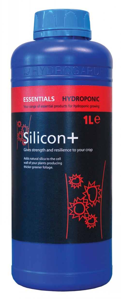 Essentials Silicon +