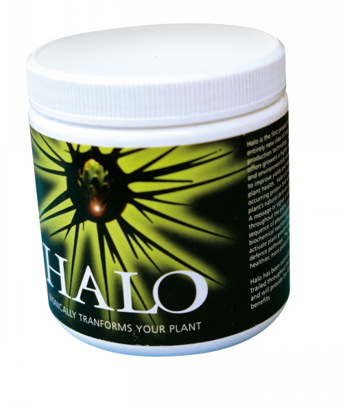 Halo Harpin 100mg