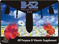 B52