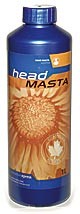 Head Masta
