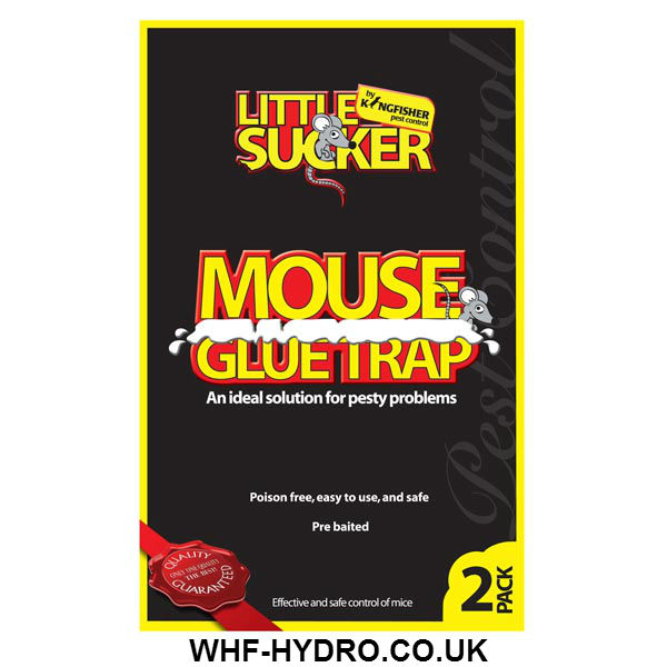 Little Sucker Mouse Glue Trap