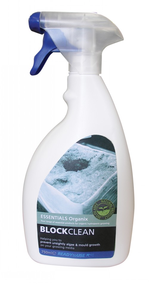 BlockClean ready to Use Spray 750ml