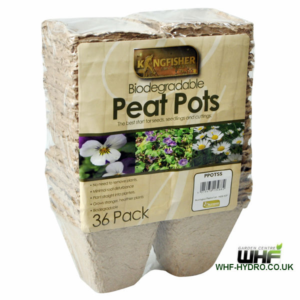 Biodegradeable Square Peat Pots 36 Pack 8cm(3in)