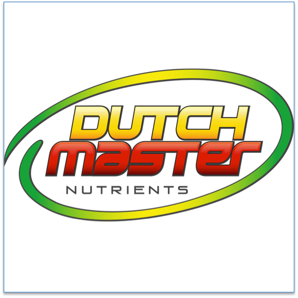 Dutch Master Gold- LIMITED STOCK